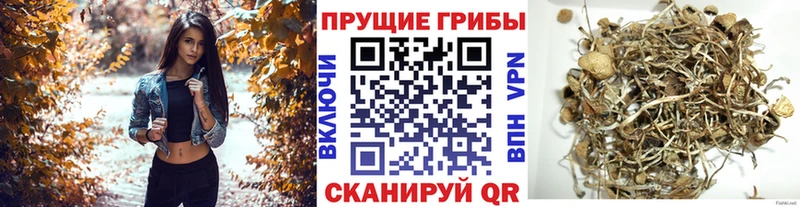 мориарти состав наркота Сельцо Псилоцибиновые грибы прущие грибы